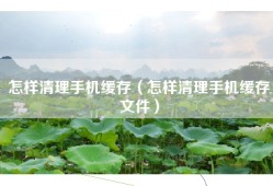 怎样清理手机缓存（怎样清理手机缓存文件）