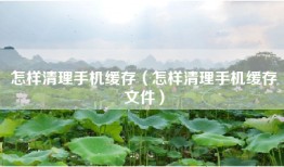 怎样清理手机缓存（怎样清理手机缓存文件）
