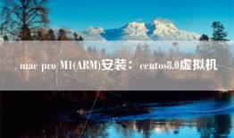 mac pro M1(ARM)安装：centos8.0虚拟机