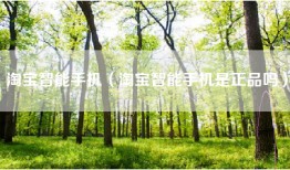 淘宝智能手机（淘宝智能手机是正品吗）