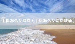 手机怎么交网费（手机怎么交网费联通）