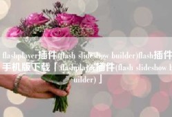 flashplayer插件(flash slideshow builder)flash插件手机版下载「flashplayer插件(flash slideshow builder)」