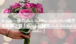 flashplayer插件(flash slideshow builder)flash插件手机版下载「flashplayer插件(flash slideshow builder)」