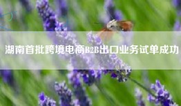 湖南首批跨境电商B2B出口业务试单成功