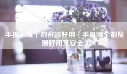 手机上哪个浏览器好用（手机哪个浏览器好用又安全）
