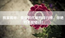 独家揭秘：低价的代刷网排行榜，你绝对不能错过！
