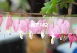 英文润色