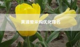 黄浦爱采购优化排名