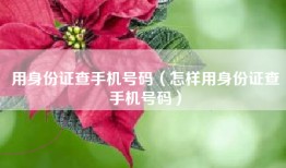 用身份证查手机号码（怎样用身份证查手机号码）