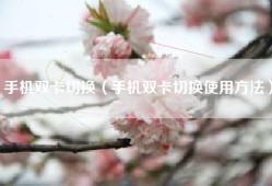 手机双卡切换（手机双卡切换使用方法）