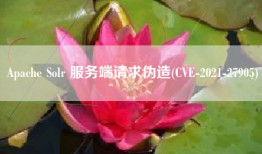 Apache Solr 服务端请求伪造(CVE-2021-27905)
