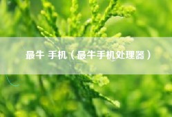 最牛 手机（最牛手机处理器）