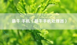 最牛 手机（最牛手机处理器）