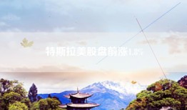 特斯拉美股盘前涨1.8%