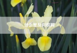 什么是反向收购