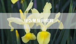 什么是反向收购