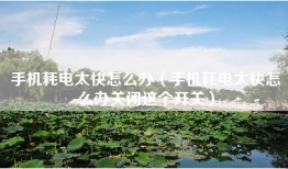 手机耗电太快怎么办（手机耗电太快怎么办关闭这个开关）