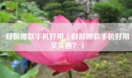 目前哪款手机好用（目前哪款手机好用又实惠？）