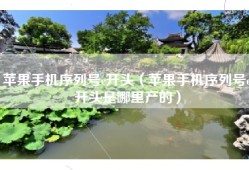 苹果手机序列号c开头（苹果手机序列号c开头是哪里产的）