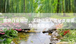 揭秘行业翘楚，关键词推广优化正规实力派大盘点