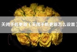 关闭手机更新（关闭手机更新怎么设置）