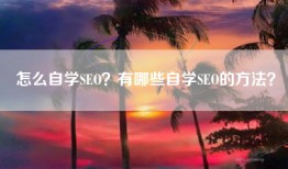 怎么自学SEO？有哪些自学SEO的方法？