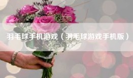 羽毛球手机游戏（羽毛球游戏手机版）