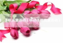 手机流量活动（移动手机流量活动）