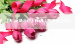 手机流量活动（移动手机流量活动）