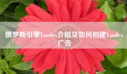 俄罗斯引擎Yandex介绍及如何创建Yandex广告