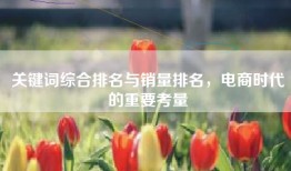 关键词综合排名与销量排名，电商时代的重要考量