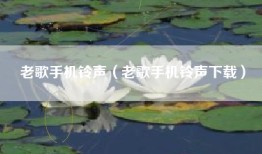 老歌手机铃声（老歌手机铃声下载）