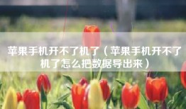 苹果手机开不了机了（苹果手机开不了机了怎么把数据导出来）