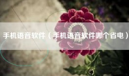 手机语音软件（手机语音软件哪个省电）