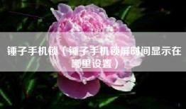 锤子手机锁（锤子手机锁屏时间显示在哪里设置）