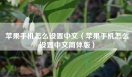 苹果手机怎么设置中文（苹果手机怎么设置中文简体版）