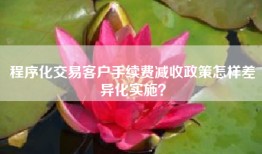 程序化交易客户手续费减收政策怎样差异化实施？