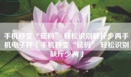 手机秒变“砝码” 轻松识别缺斤少两手机电子秤「手机秒变“砝码” 轻松识别缺斤少两」