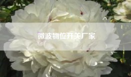 微波物位开关厂家