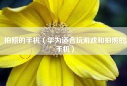 拍照的手机（华为适合玩游戏和拍照的手机）