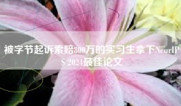 被字节起诉索赔800万的实习生拿下NeurIPS 2024最佳论文