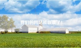 我们的网站被收录了！