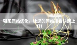 朝阳网站优化，让您的网站排名快速上升！