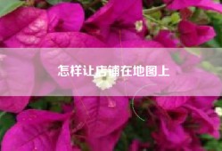怎样让店铺在地图上