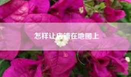 怎样让店铺在地图上