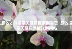 怎么才能搜索关键词搜索到自己_怎么搜索关键词就能找到网站
