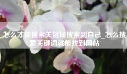 怎么才能搜索关键词搜索到自己_怎么搜索关键词就能找到网站