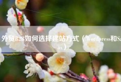 外贸B2B如何选择建站方式（Wordpress和Saas）