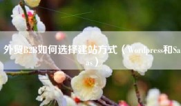 外贸B2B如何选择建站方式（Wordpress和Saas）