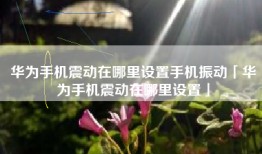 华为手机震动在哪里设置手机振动「华为手机震动在哪里设置」